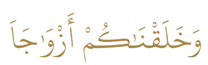 سربرگ آیه